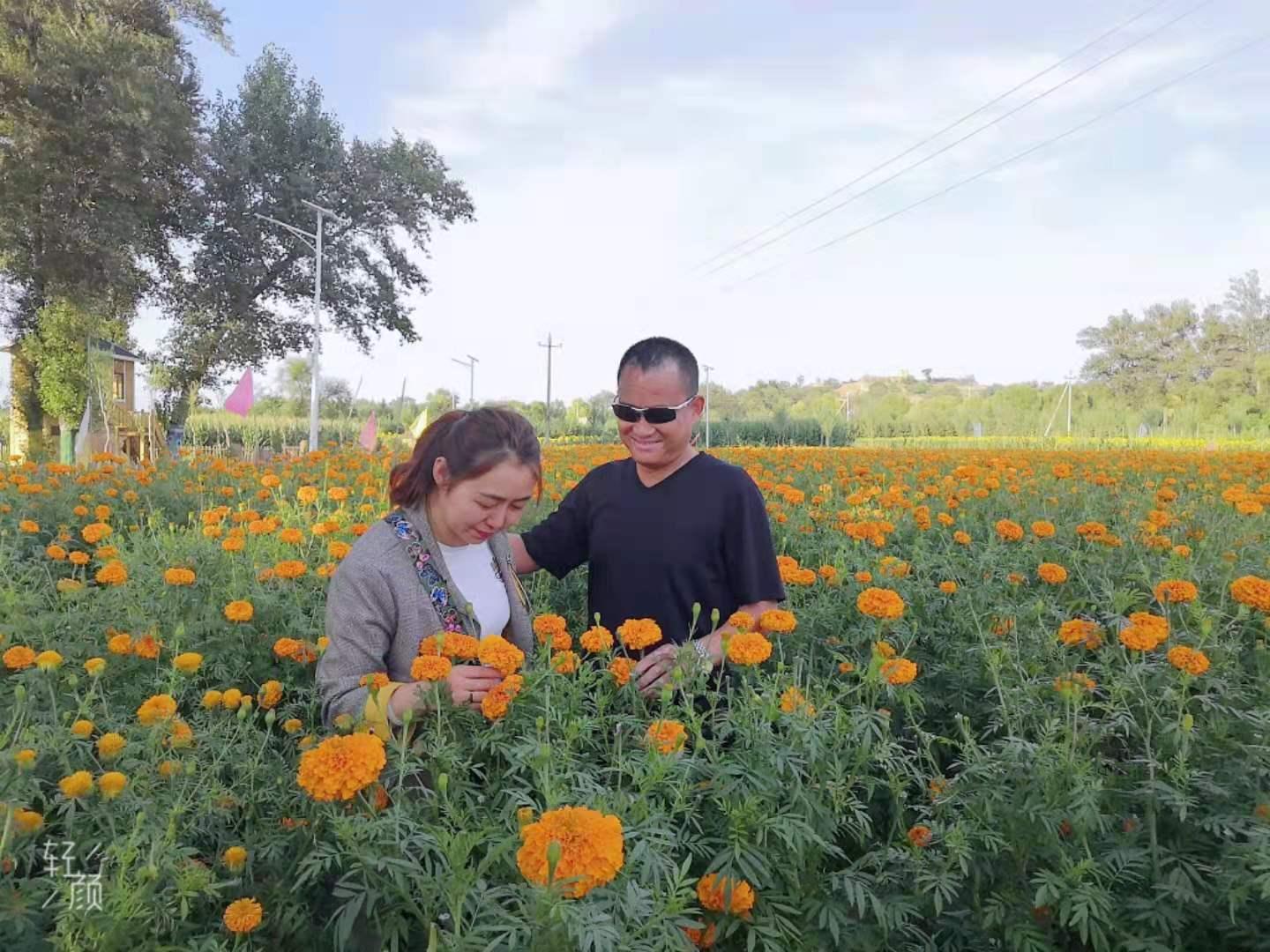超凡娱乐-梦想照进现实,起劲成绩未来!